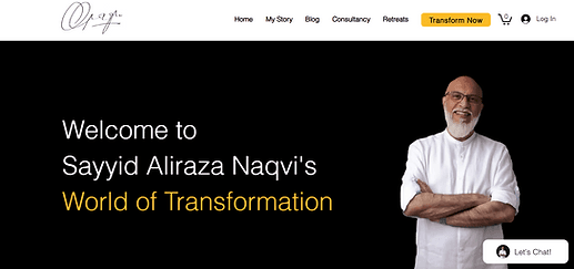 www.sayyidalirazanaqvi.com